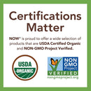 NOW Foods Pumpkin Seeds Organic Raw & Unsalted 12 oz - DailyVita