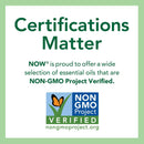 NOW Foods Zesty发芽混合16盎司