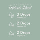 CLEARANCE! NOW Foods Eucalyptus Globulus Oil Organic 1 fl oz, Stain or Minor Damage - DailyVita