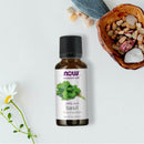 CLEARANCE! NOW Foods Basil Oil 1 fl oz, Stain or Minor Damage - DailyVita