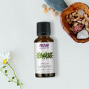 CLEARANCE! NOW Foods Camphor Oil 1 fl oz, Stain or Minor Damage - DailyVita