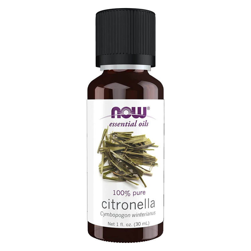 CLEARANCE! NOW Foods Citronella Oil 1 fl oz, Stain or Minor Damage - DailyVita