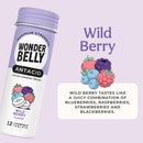 Wonderbelly® Chewable Antacid Wild Berry – 12 Chewable Tablets - DailyVita