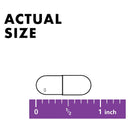 Bluebonnet CellularActive Methylfolate 400 mcg 60 Capsules - DailyVita