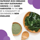 Bluebonnet Atlantic Sea Kelp Iode 225 MCG 120 Capsules de légumes