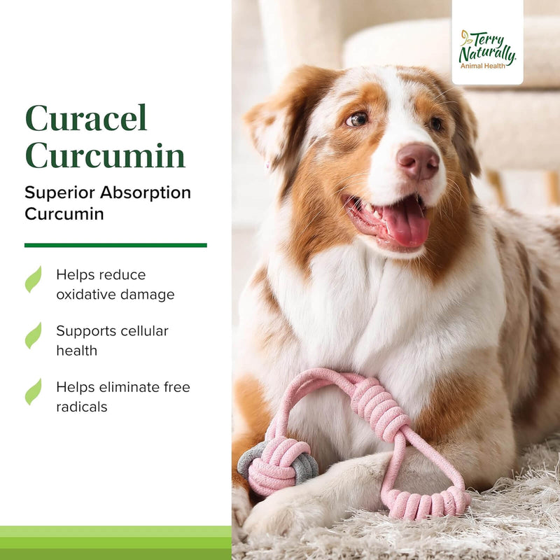 Terry Naturally Curacel Curcumin 60 Softgels - CANINE for Dogs