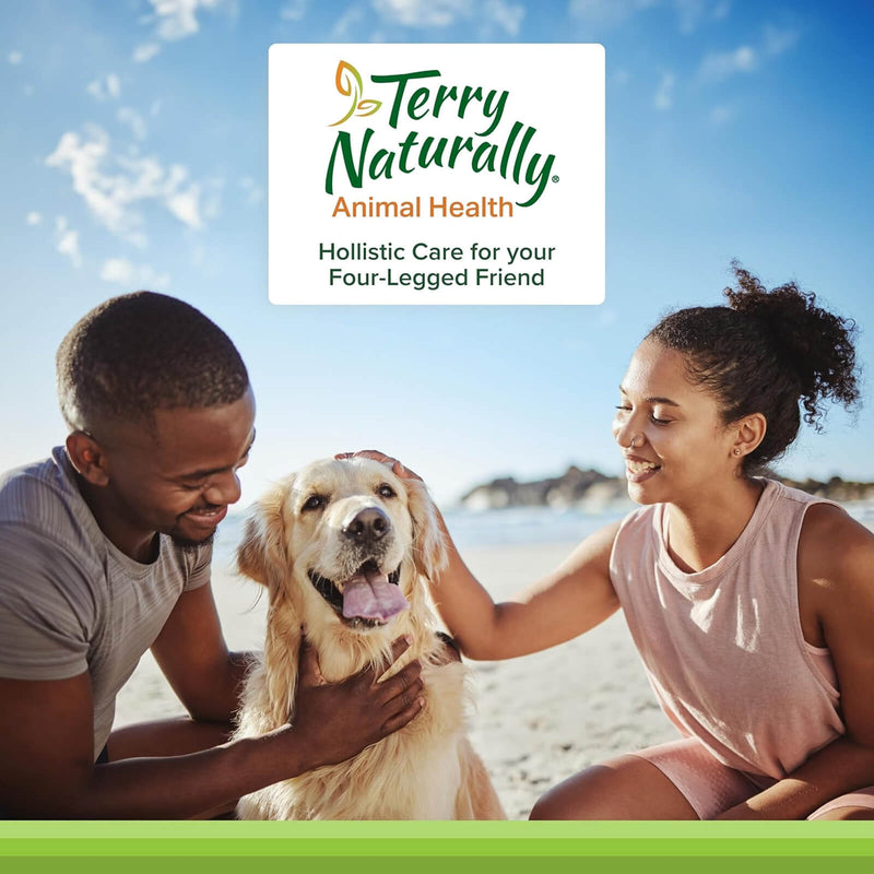 Terry Naturally Curacel Curcumin 60 Softgels - CANINE for Dogs