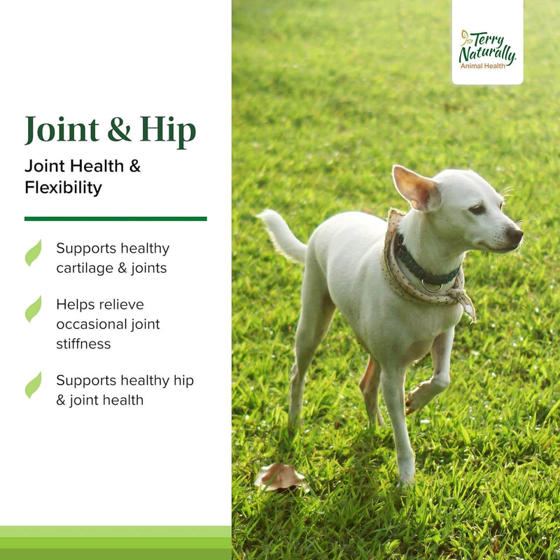 Terry Naturally Joint & Hip Formula 60 Wafers - CANINE for Dogs