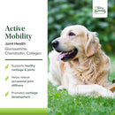 Terry Naturally Mobilidade ativa - Saúde articular 60 Tabs de mastigar