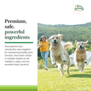 Terry Naturally Mobilidade ativa - Saúde articular 60 Tabs de mastigar