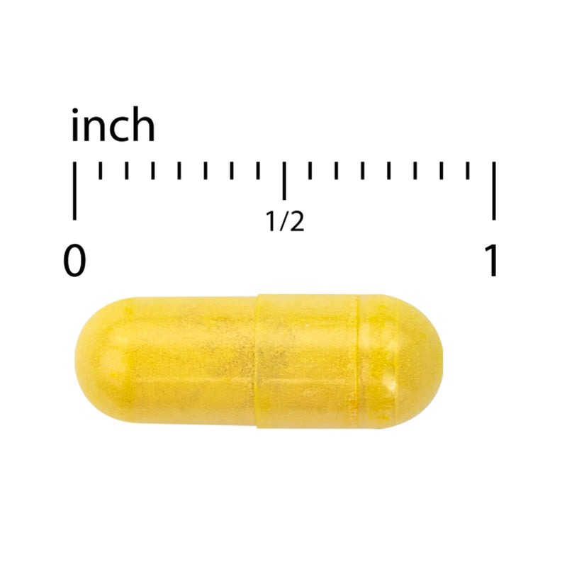 CLEARANCE! Terry Naturally Curamin NIGHTTIME Pain Relief - Curamin PM - 60 Caps, BEST BY 11/2025 - DailyVita