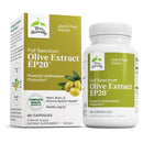 CLEARANCE! Terry Naturally Olive Extract EP20 60 Capsules, BEST BY 12/2025 - DailyVita