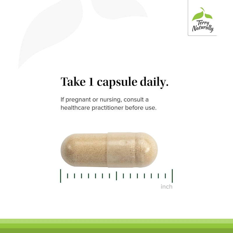 Terry Naturally Olive Extract EP20 60 Capsules - DailyVita