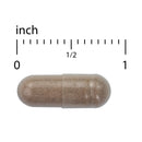 Terry Naturally Menopause Relief Plus 60 Caps - DailyVita