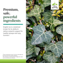 Terry Naturally Bronchial Clear Chewable 60 Chew Talets - DailyVita