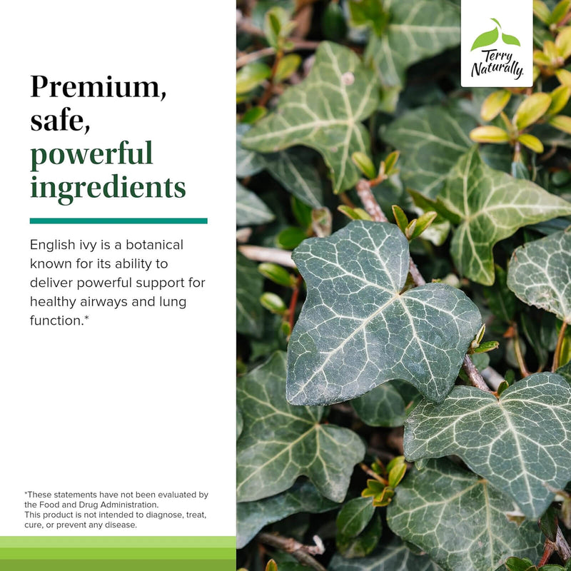 CLEARANCE! Terry Naturally Bronchial Clear Chewable 60 Chew Tablets, BEST BY 12/2025 - DailyVita