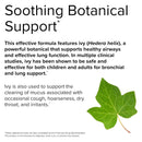 Terry Naturally Bronchial Clear 90 Tablets - DailyVita