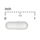 CLEARANCE! Terry Naturally Muscle Relax with Calcium Lactate 60 Caps, BEST BY 06/2025 - DailyVita