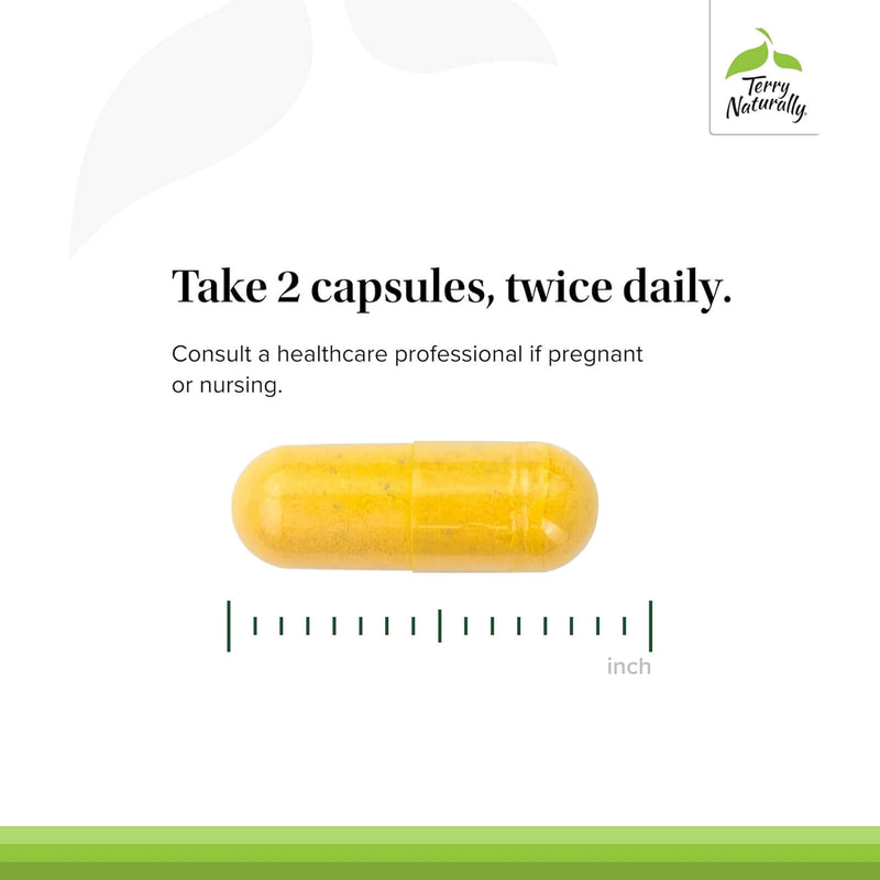 Terry Naturellement sain et nerfs 60 Caps