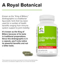 Terry Naturally Andrographis EP80 60 Caps - DailyVita