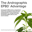 Terry Naturally Andrographis EP80 60 Caps - DailyVita