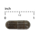 Terry Naturally GMT23 Greek Mountain Tea - Optimum Health 30 Caps - DailyVita