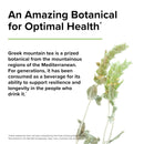 Terry Naturally GMT23 Greek Mountain Tea - Optimum Health 30 Caps - DailyVita