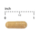 Terry Naturally Stomach & Intestinal Relief 60 Caps - DailyVita