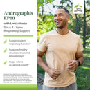 Terry Naturally 带有Umckaloabo的Andrographis EP80 -C＆F配方 - 窦和呼吸支持60帽