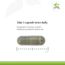 Terry Naturally 带有Umckaloabo的Andrographis EP80 -C＆F配方 - 窦和呼吸支持60帽