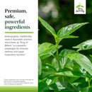 Terry Naturally 带有Umckaloabo的Andrographis EP80 -C＆F配方 - 窦和呼吸支持60帽