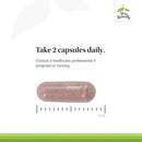 Terry Naturally 尿路密集型支持 - 尿路，肾脏和膀胱健康60帽