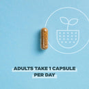 Ancient Nutrition, ROC, Capsules, Daily Probiotics 25B, Once Daily, 30ct - DailyVita