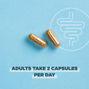 Ancient Nutrition, ROC, Capsules, Gut Recovery Probiotics 50B, 60ct - DailyVita