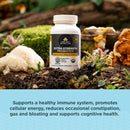 Ancient Nutrition, ROC, Capsules, Extra Strength Probiotics 50B, 60ct - DailyVita