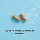 Ancient Nutrition, ROC, Capsules, Extra Strength Probiotics 50B, 60ct - DailyVita