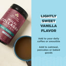 Ancient Nutrition, Multi Collagen, Protein, Joint + Mobility, Vanilla, 20 Servings, 7.5 oz (212 g) - DailyVita