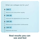 Ancient Nutrition, Multi Collagen, Protein, Gut Restore, Lemon Ginger, 20 Servings, 8.4 oz (238 g) - DailyVita