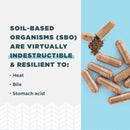 Ancient Nutrition, SBO Probiotic, Ultimate, 60ct - DailyVita