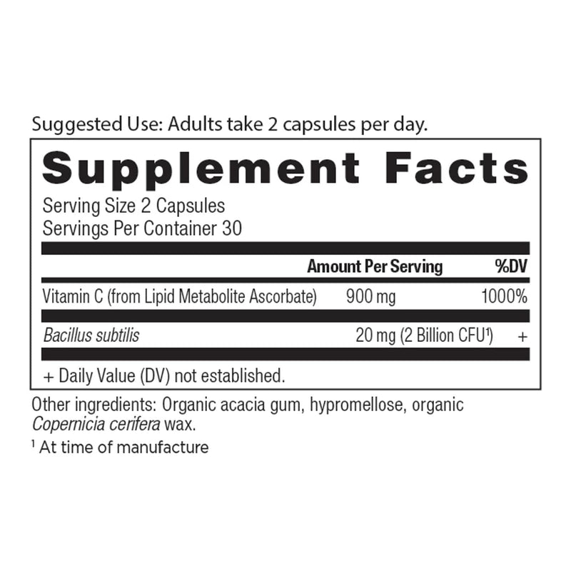 Ancient Nutrition, Ancient Nutrients, Capsules, Vitamin C + Probiotics, 60ct - DailyVita