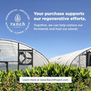 Ancient Nutrition, SBO Probiotic, Mens, 60ct - DailyVita