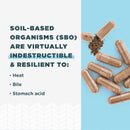 Ancient Nutrition, SBO Probiotic, Womens, 60ct - DailyVita