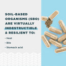 Ancient Nutrition, SBO Probiotic, Gut Restore, 60ct - DailyVita