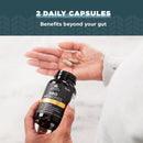 Ancient Nutrition, SBO Probiotic, Gut Restore, 60ct - DailyVita