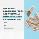 Ancient Nutrition, SBO Probiotics, Once Daily, Immune, 30ct - DailyVita