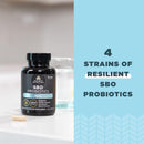 Ancient Nutrition, SBO Probiotics, Once Daily, Mens, 30ct - DailyVita