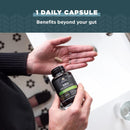 Ancient Nutrition, SBO Probiotics, Once Daily, Mental Clarity, 30ct - DailyVita