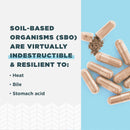 Ancient Nutrition, SBO Probiotics, Once Daily, Mental Clarity, 30ct - DailyVita