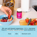 Ancient Nutrition, SBO Probiotic, Gummy 10b CFU, Berry, 60ct - DailyVita