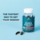Ancient Nutrition, Organic Super Greens, Gummy, Strawberry Watermelon, 50ct - DailyVita